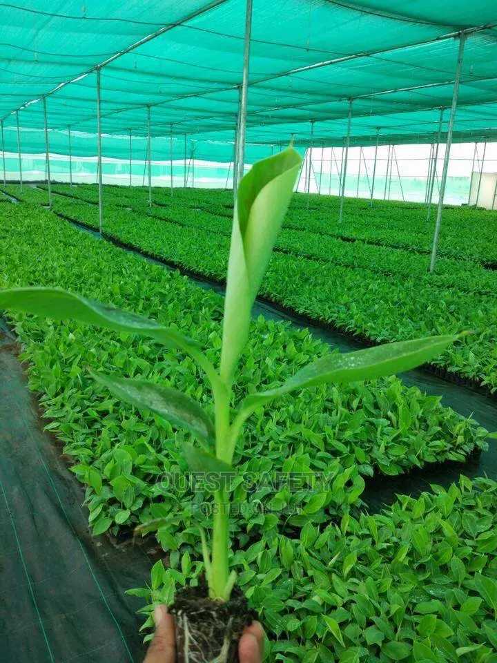 Farming Shade Net (Green House Net) 3 Metres By 50m