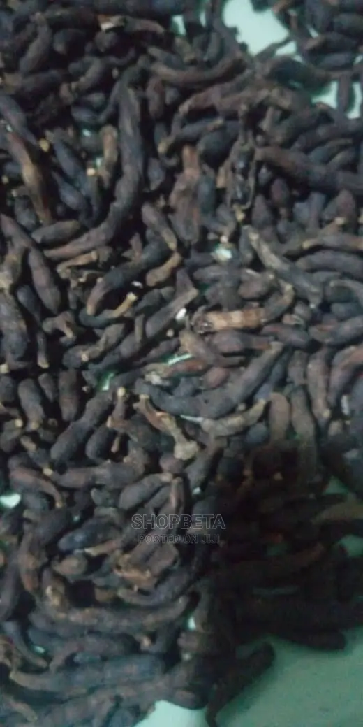 Grains Of Selim Negro Pepper