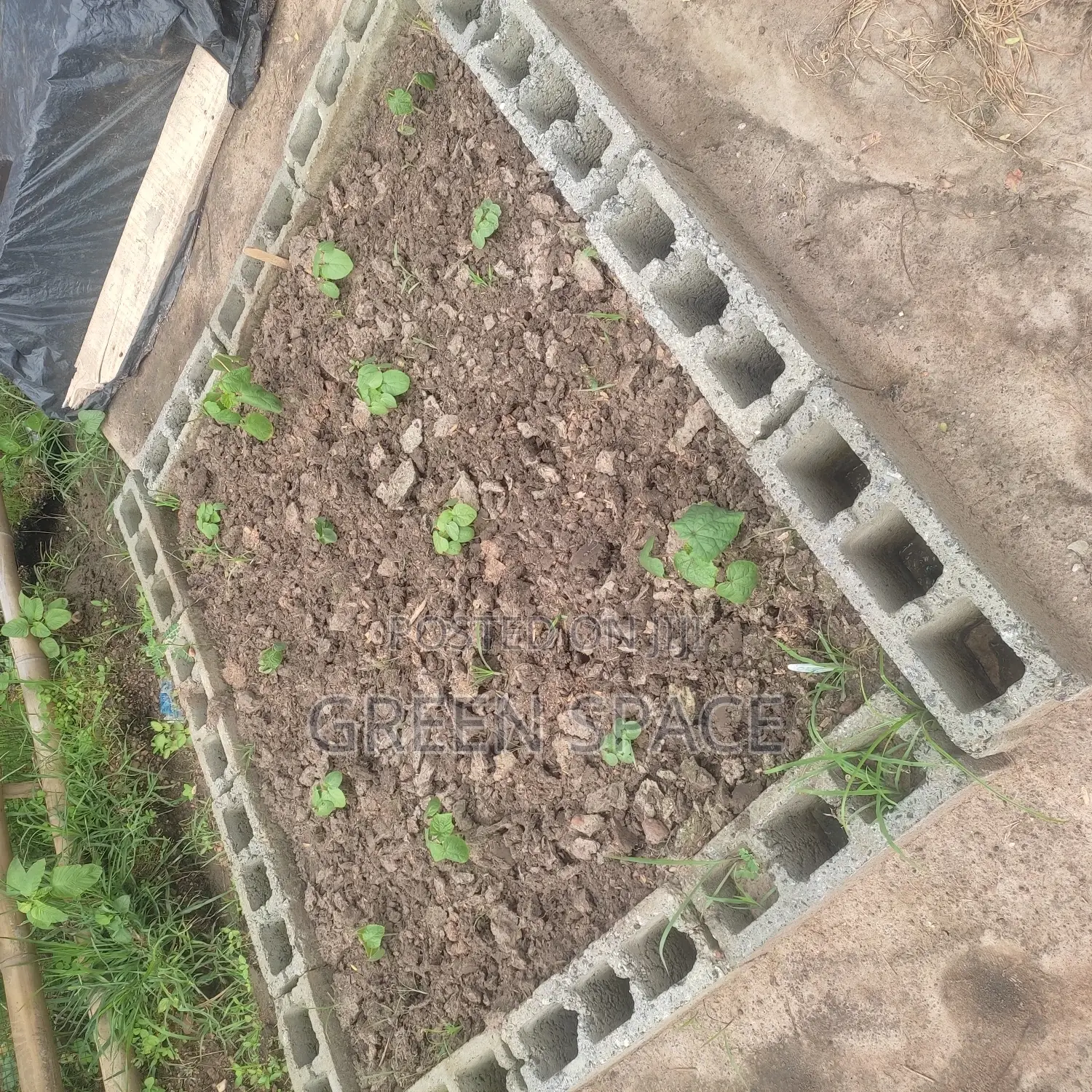 Home Garden Setup