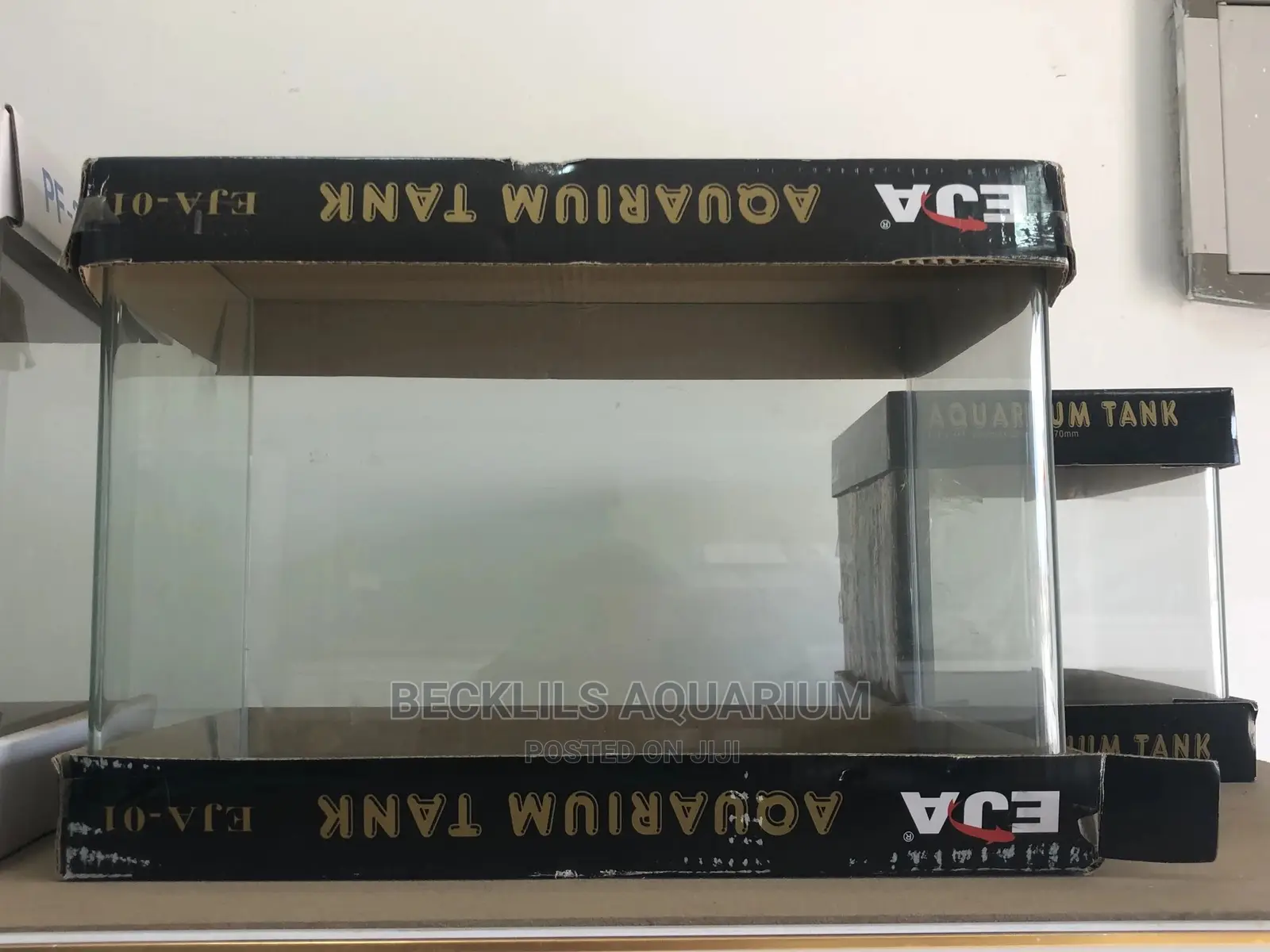 Glass Aquarium
