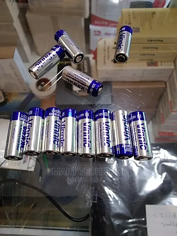Vinnic L1028 Alkaline 12v 23amps Battery for Alarms, Bells