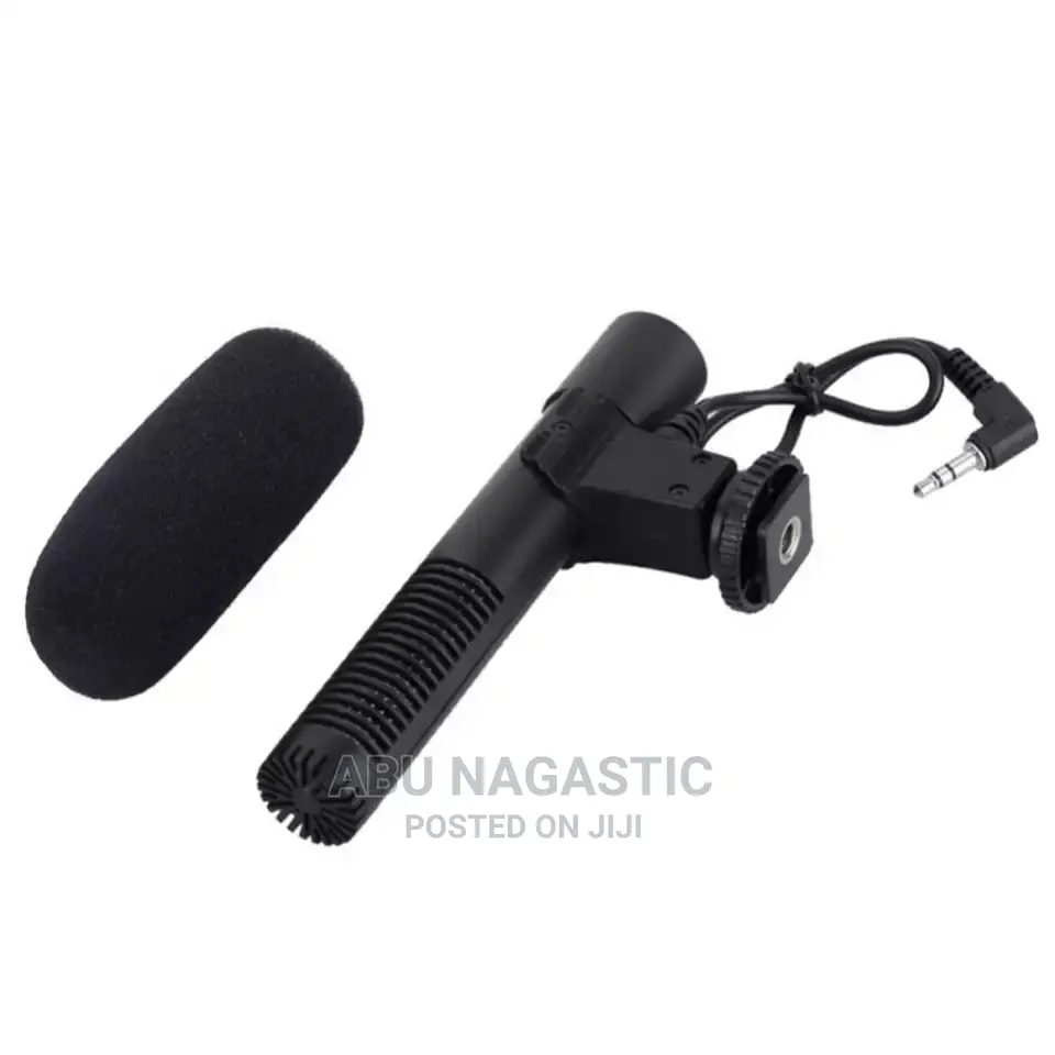 Camera and Camcorder Microphone