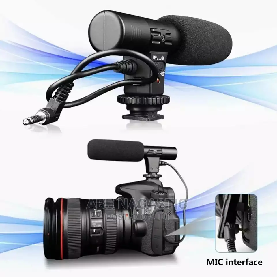 Camera and Camcorder Microphone