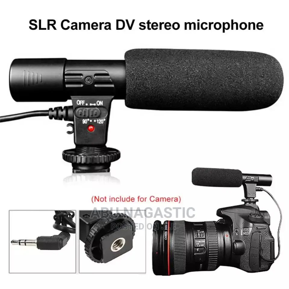 Camera and Camcorder Microphone