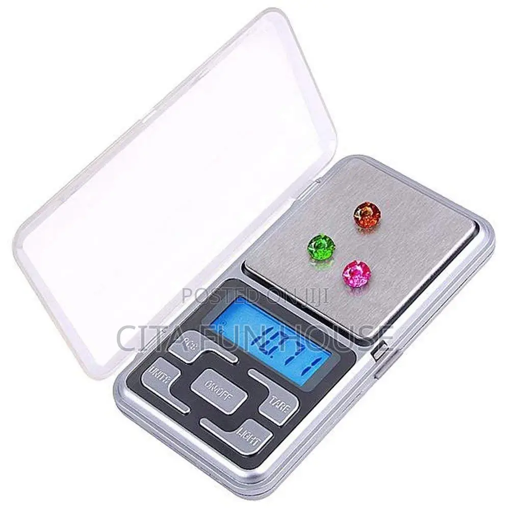 Mini Pocket Digital Scale 0.1g -500g Max