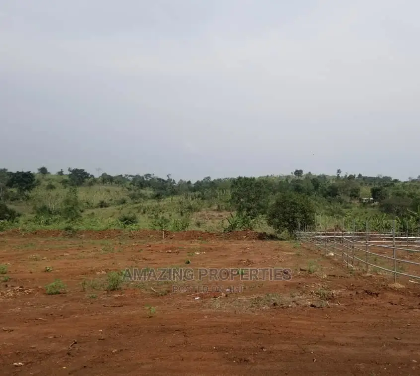 Acres of Land at Ayi Mensah