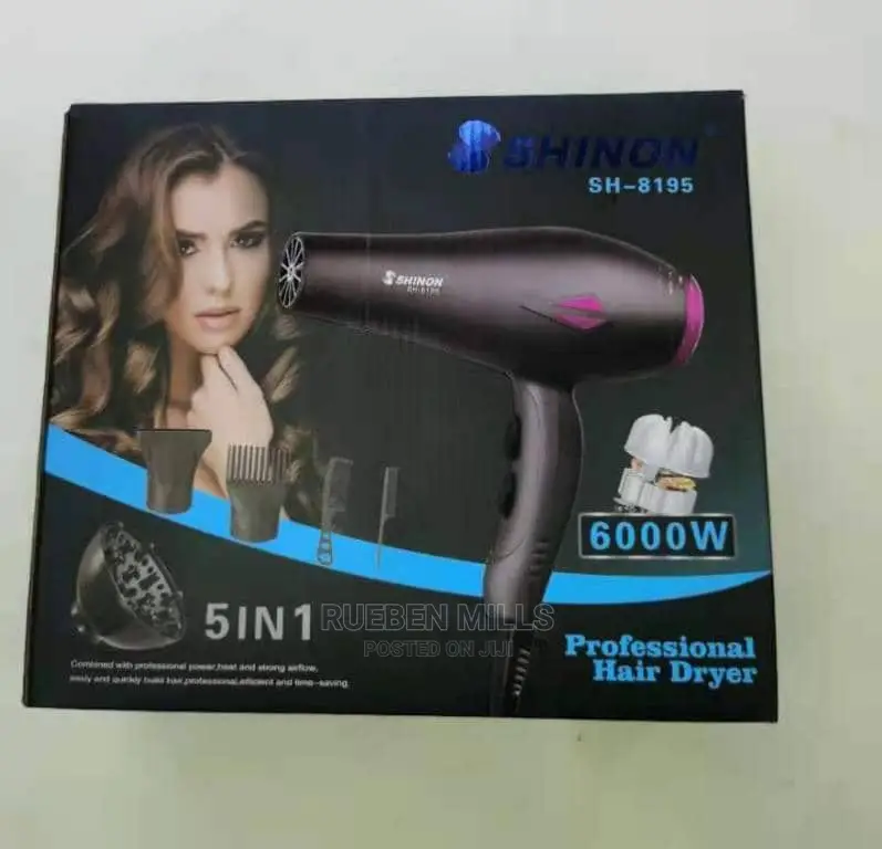 Shinon Salon Hair Dryer