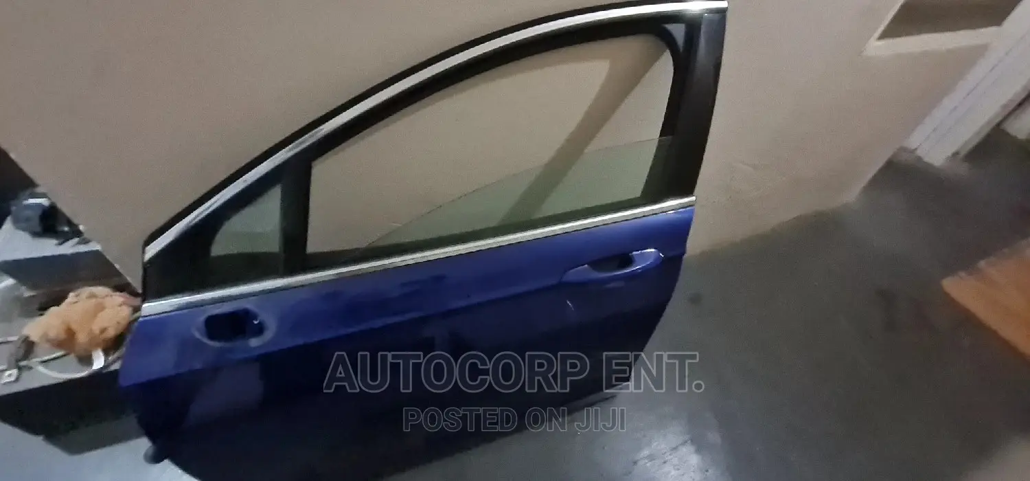 Ford Fusion Driver Door