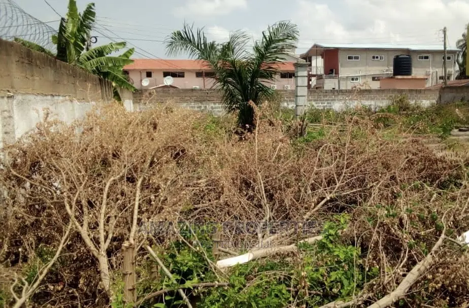1 Plot of Land for Sale at Osu Regal
