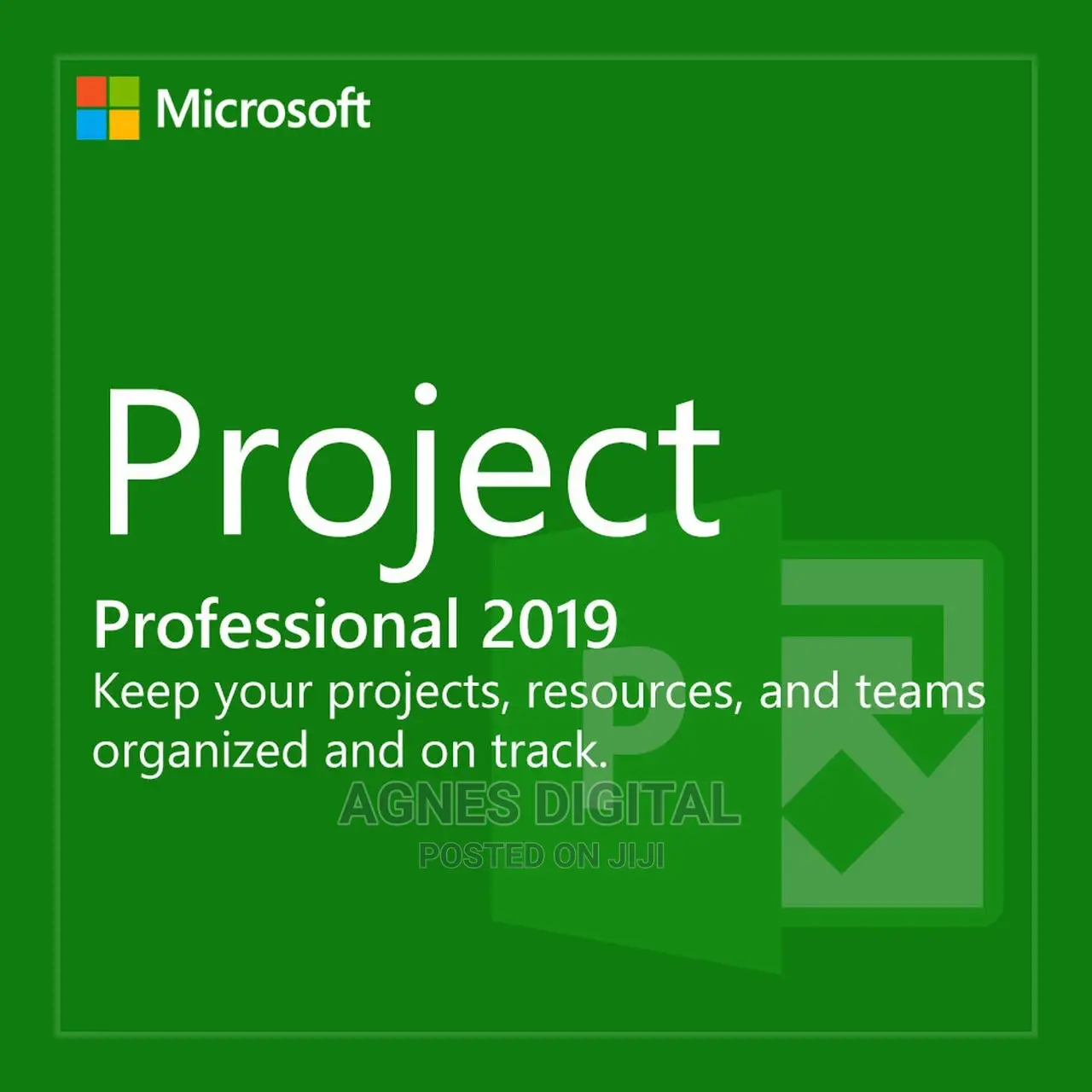 Project Professional 2019 Genuine License Key for 1PC