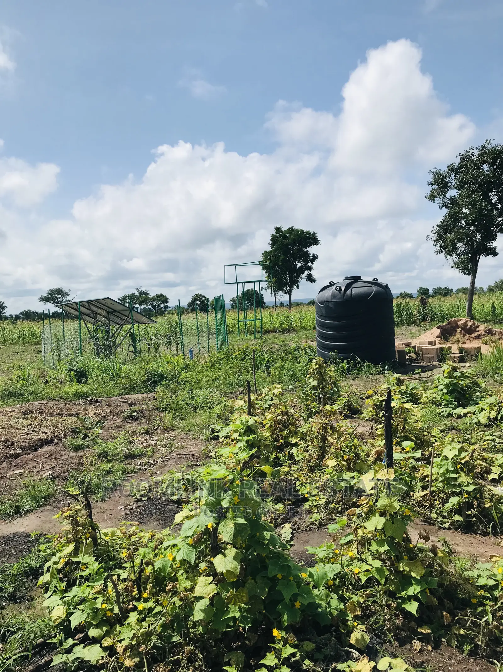 Affordable Farmlands at for Sale in Kintampo