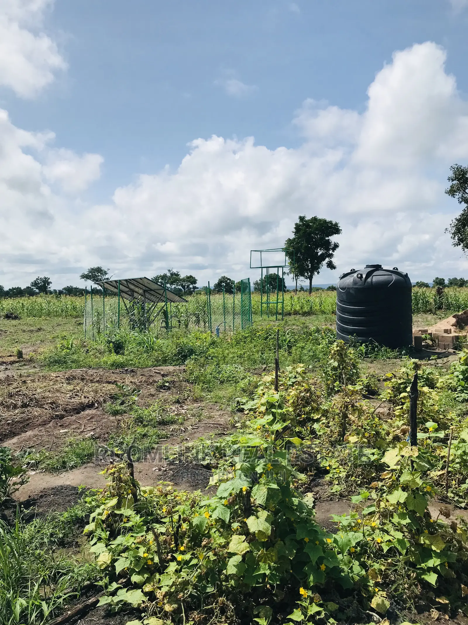 Affordable Farmlands at for Sale in Kintampo