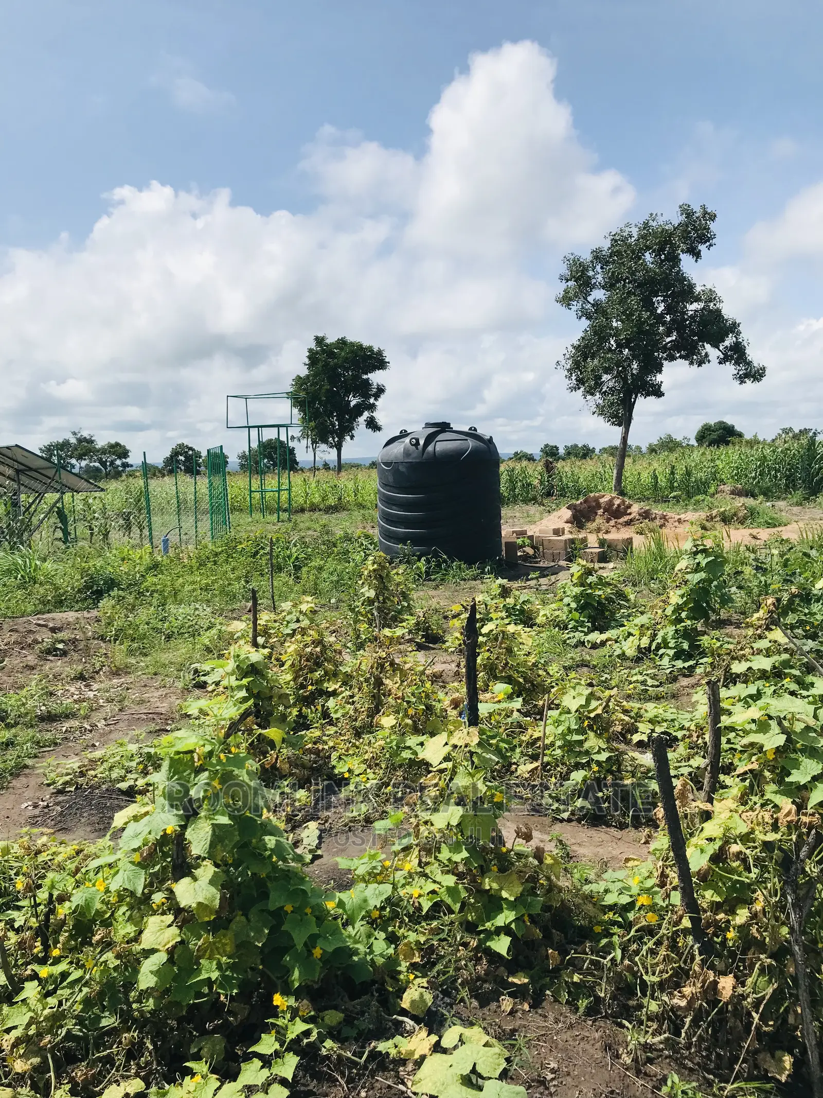 Affordable Farmlands at for Sale in Kintampo