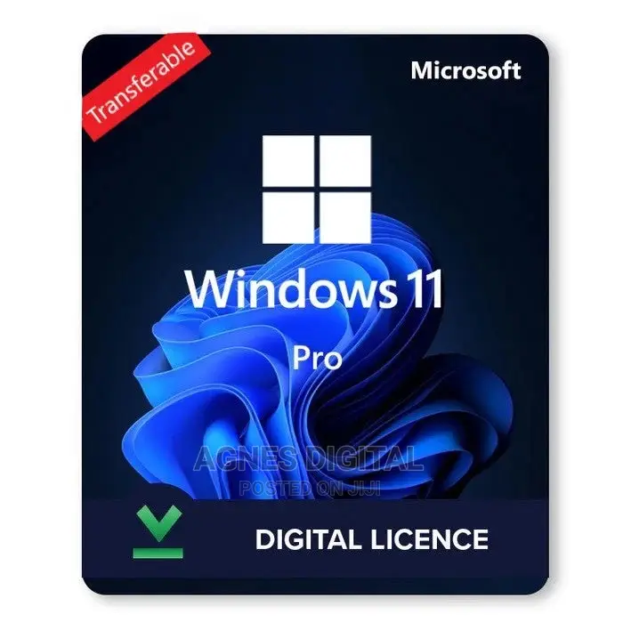 Windows 11 Professional Transferable Digital License(1PC)