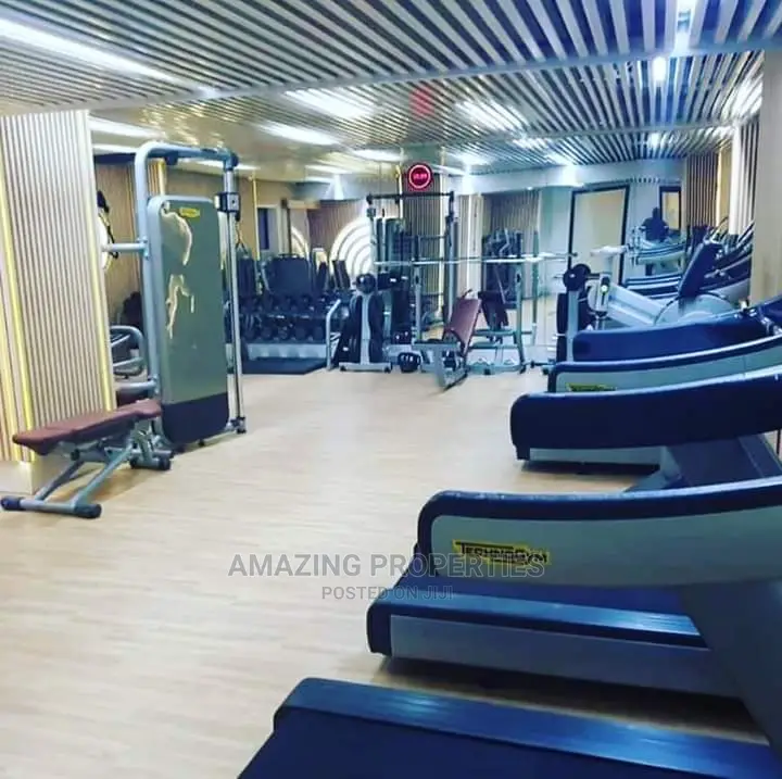 Furnished 3bdrm Apartment in Airport Residential for Rent