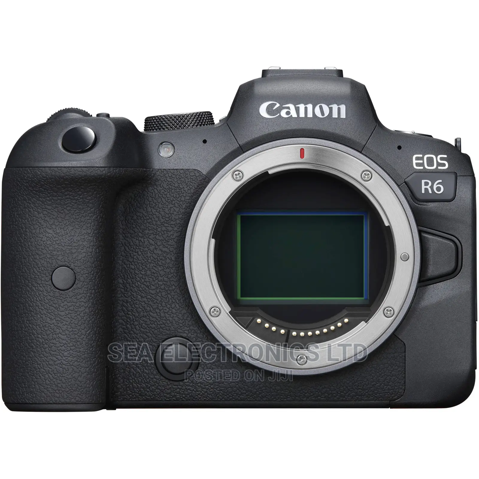 Canon EOS R6 Mirrorless Camera Body in Wi-Fi Cameras