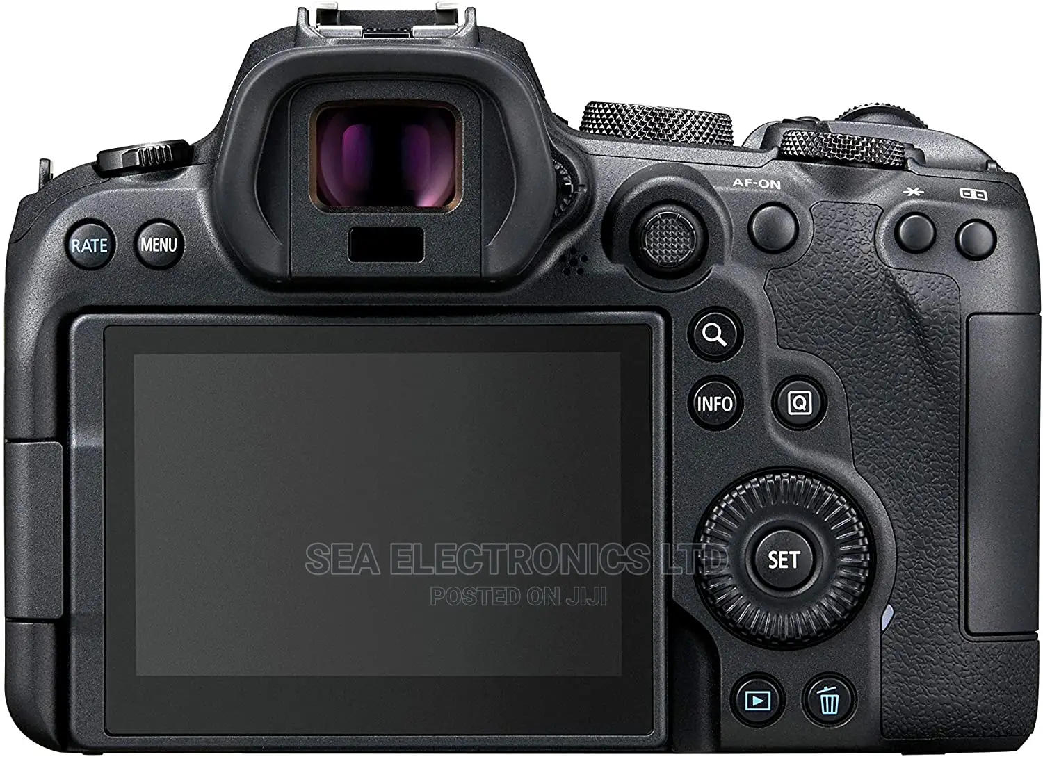 Canon EOS R6 Mirrorless Camera Body in Wi-Fi Cameras
