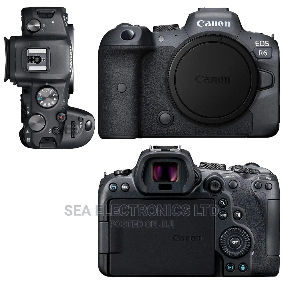 Supreme Canon EOS R6 Mirrorless Camera Body in Wi-Fi Cameras