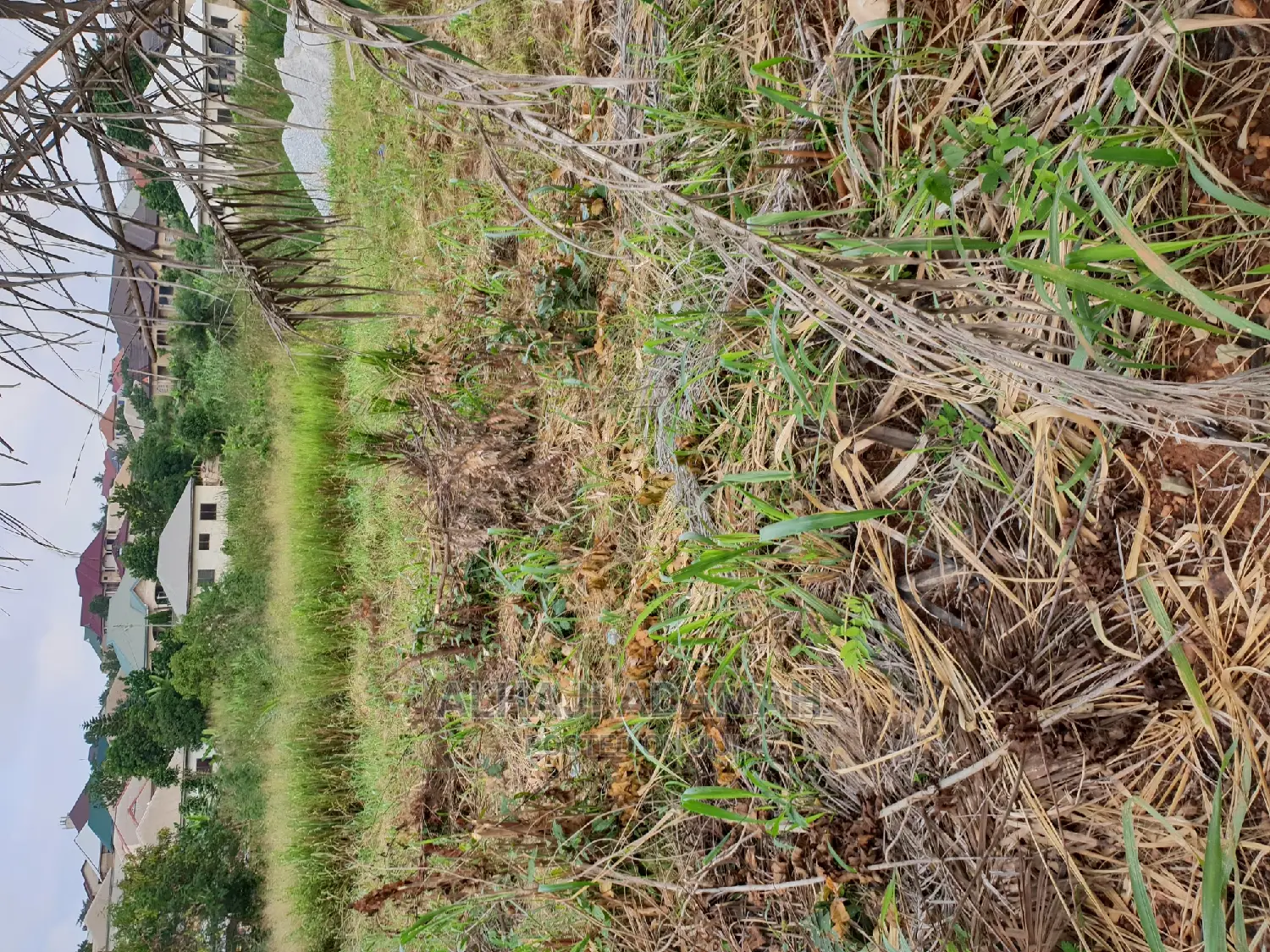 Land for Sale at Boforuyedu Adumasa