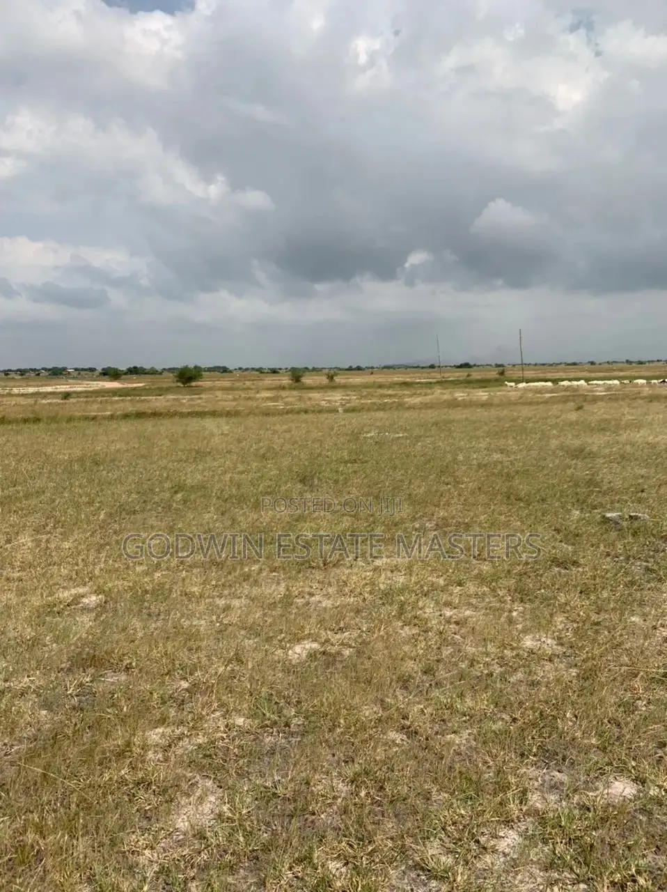 Genuine Plot Avial.Don't Time and Money on Land Litigation