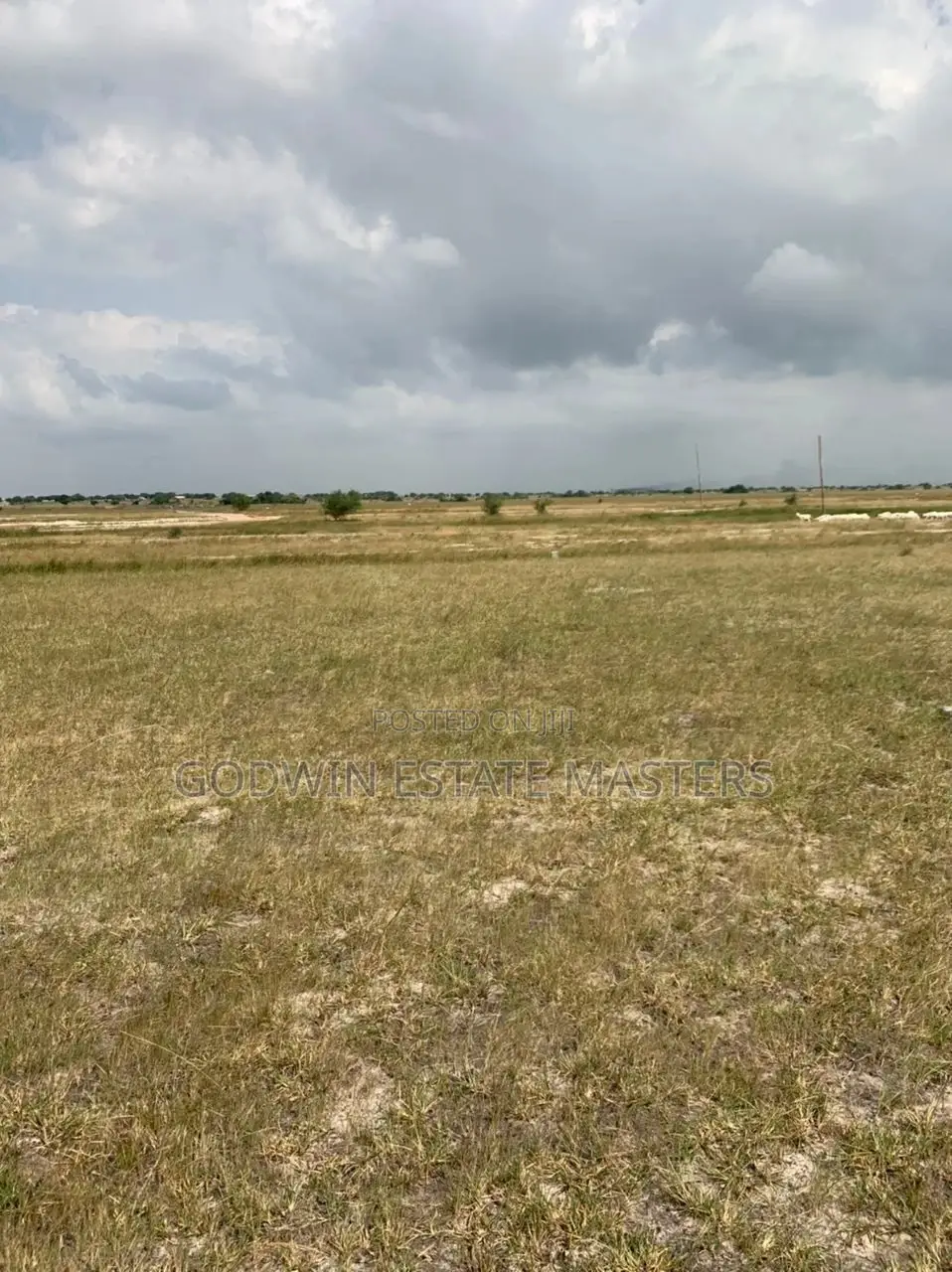 Genuine Plot Avial.Don't Time and Money on Land Litigation