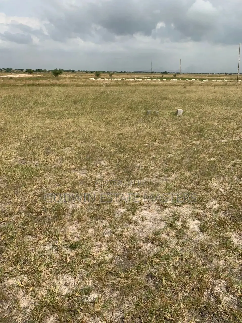 Buy Genuine State Plot From Estate Masters Ltd.