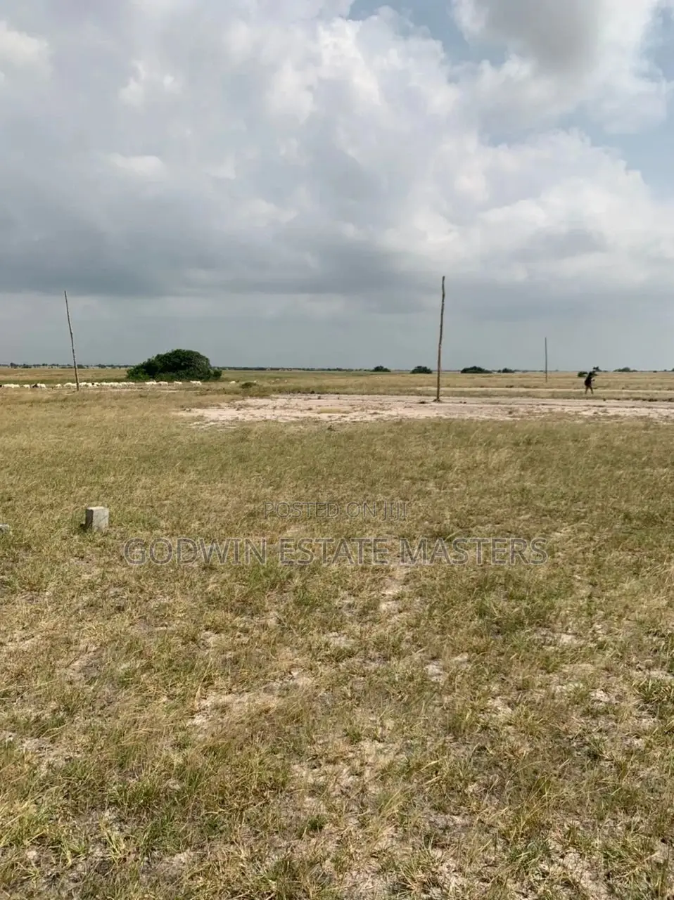 Get a Genuine Plot of Land at Tsopoli