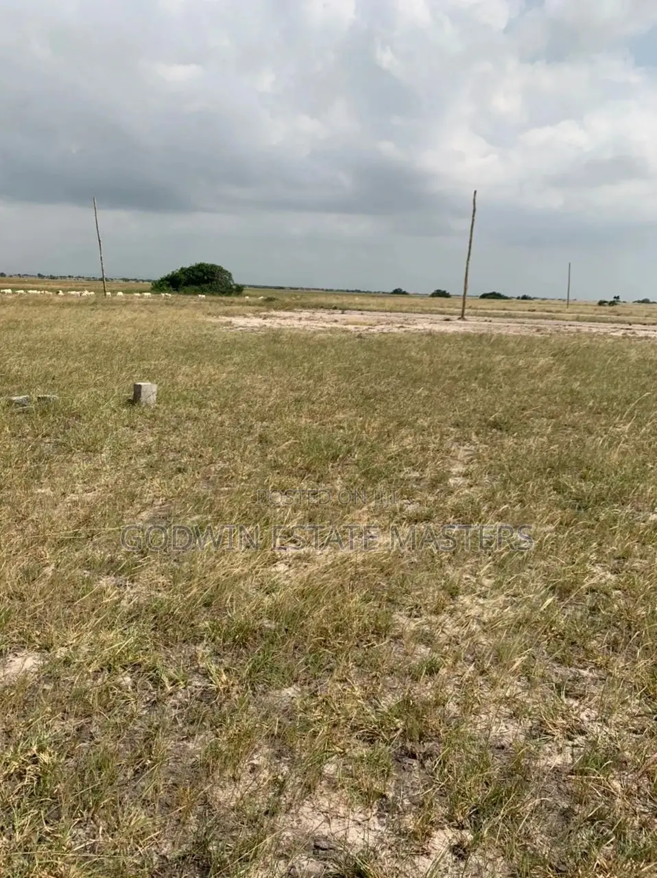 Plot at Ningo Prampram for Sale