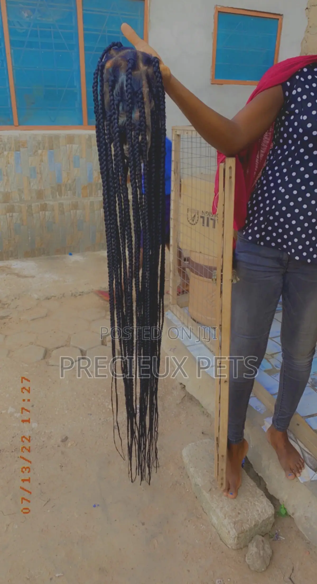 Braided Wig