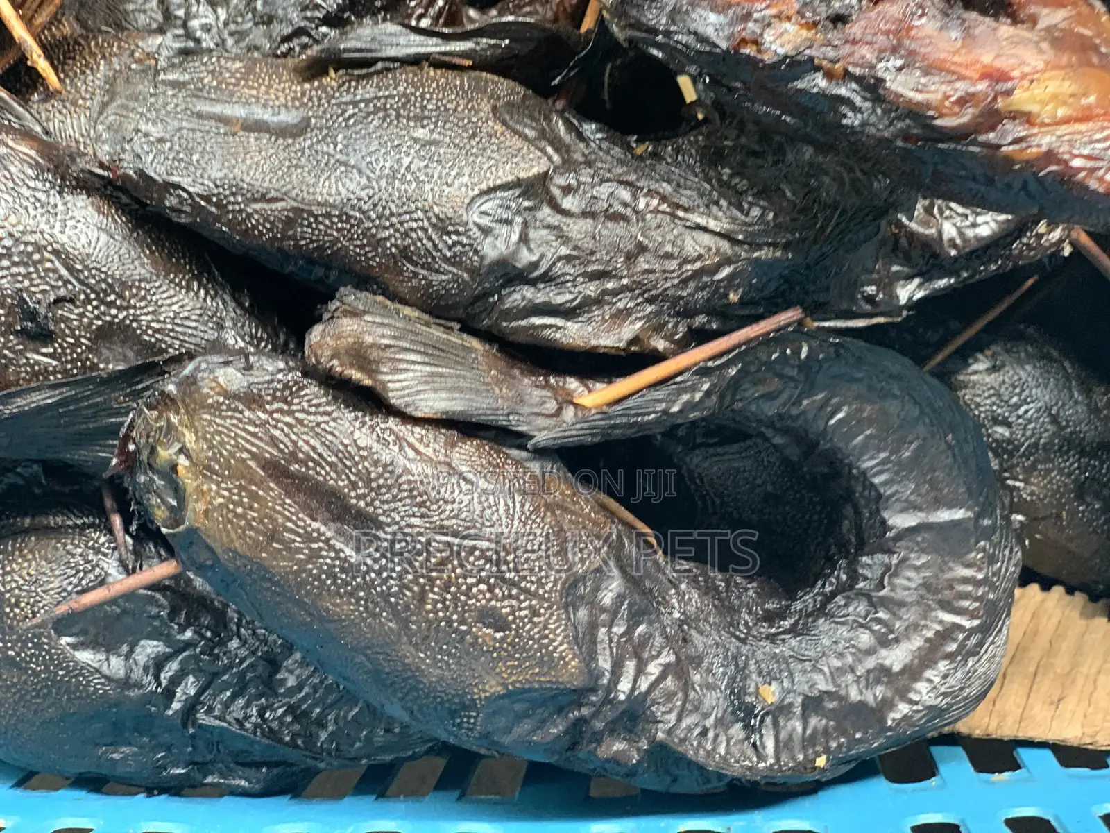 Dry Catfish