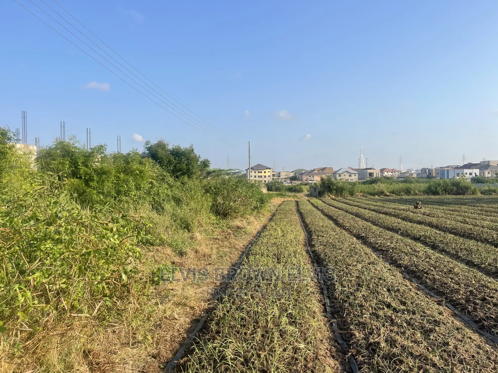 TWO Plots of Land for Sale at West Trasacco