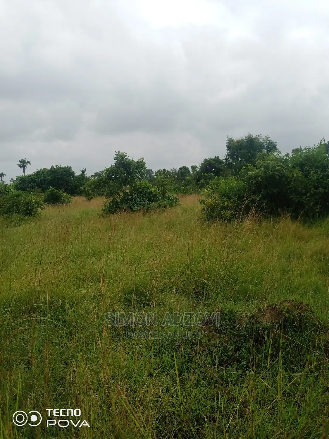 5000 Acres of Farm Land for Sale or Long Lease