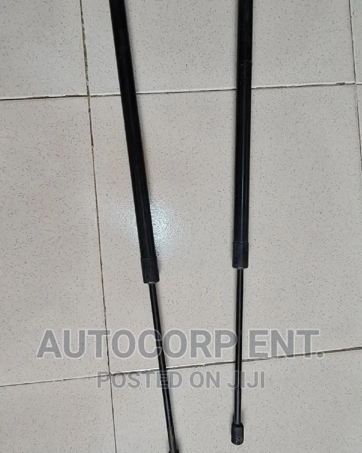2013 - 2016 Ford Escape Manual Boot Struts