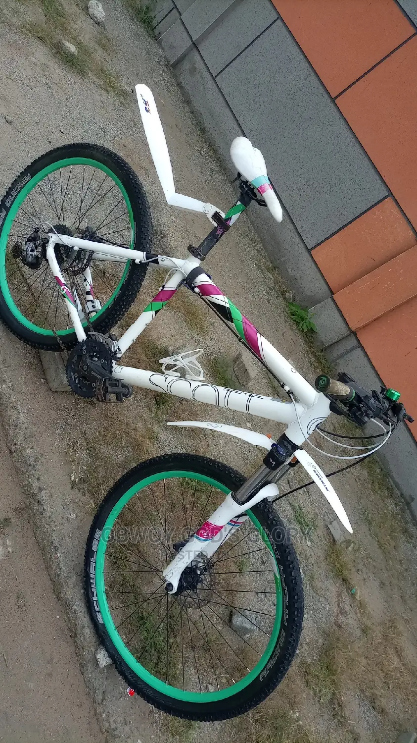 White Gaint Exercise Bike