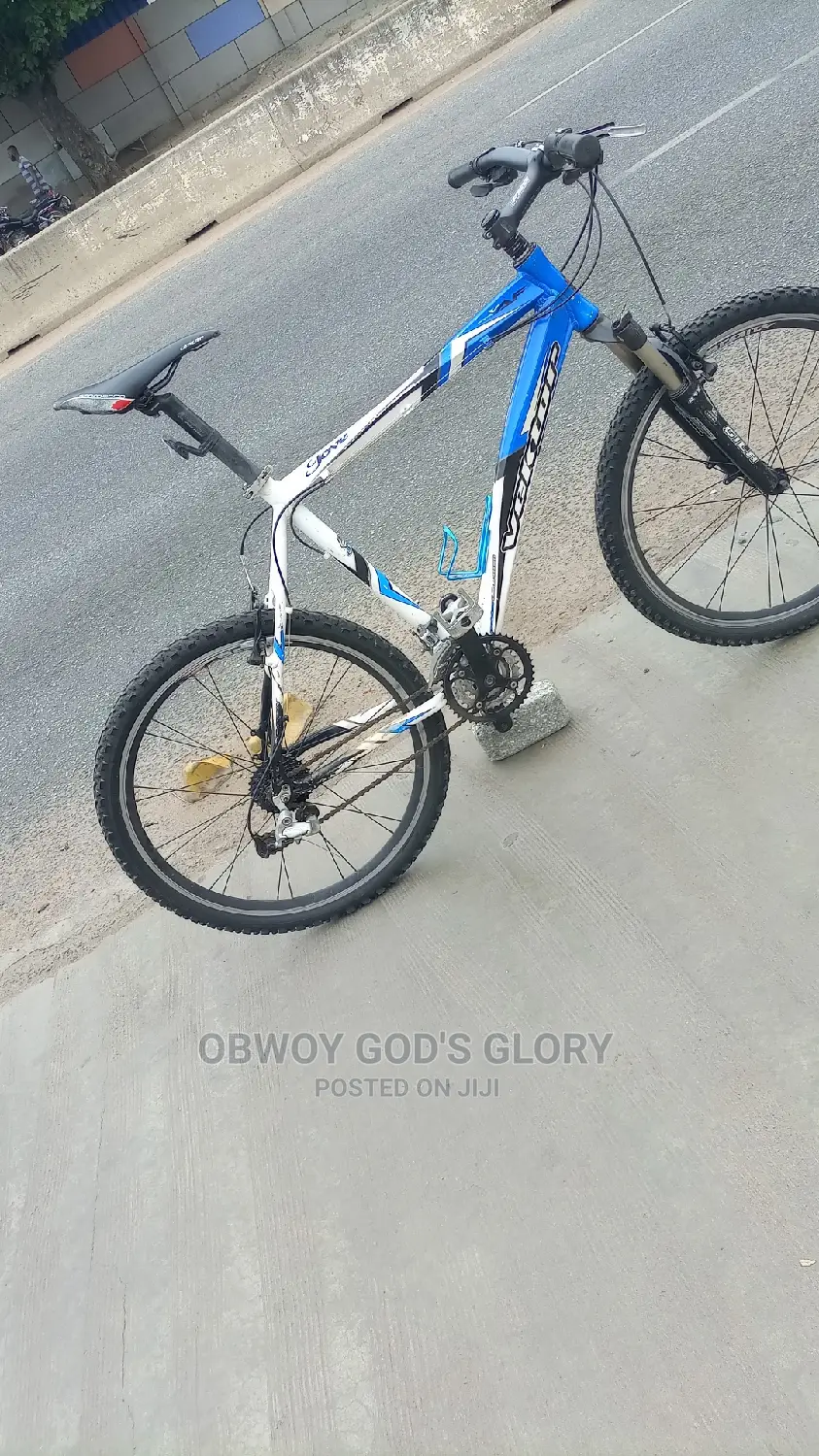 Gaint Sporty Exercise Bike