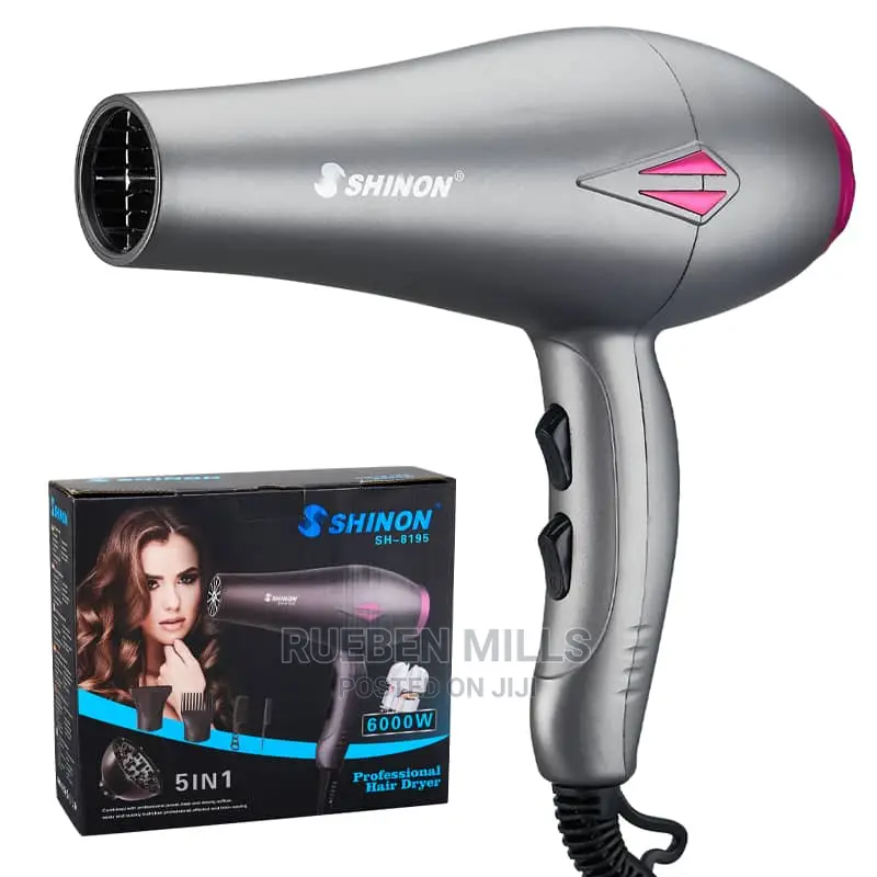 Hair Dryer Shinon