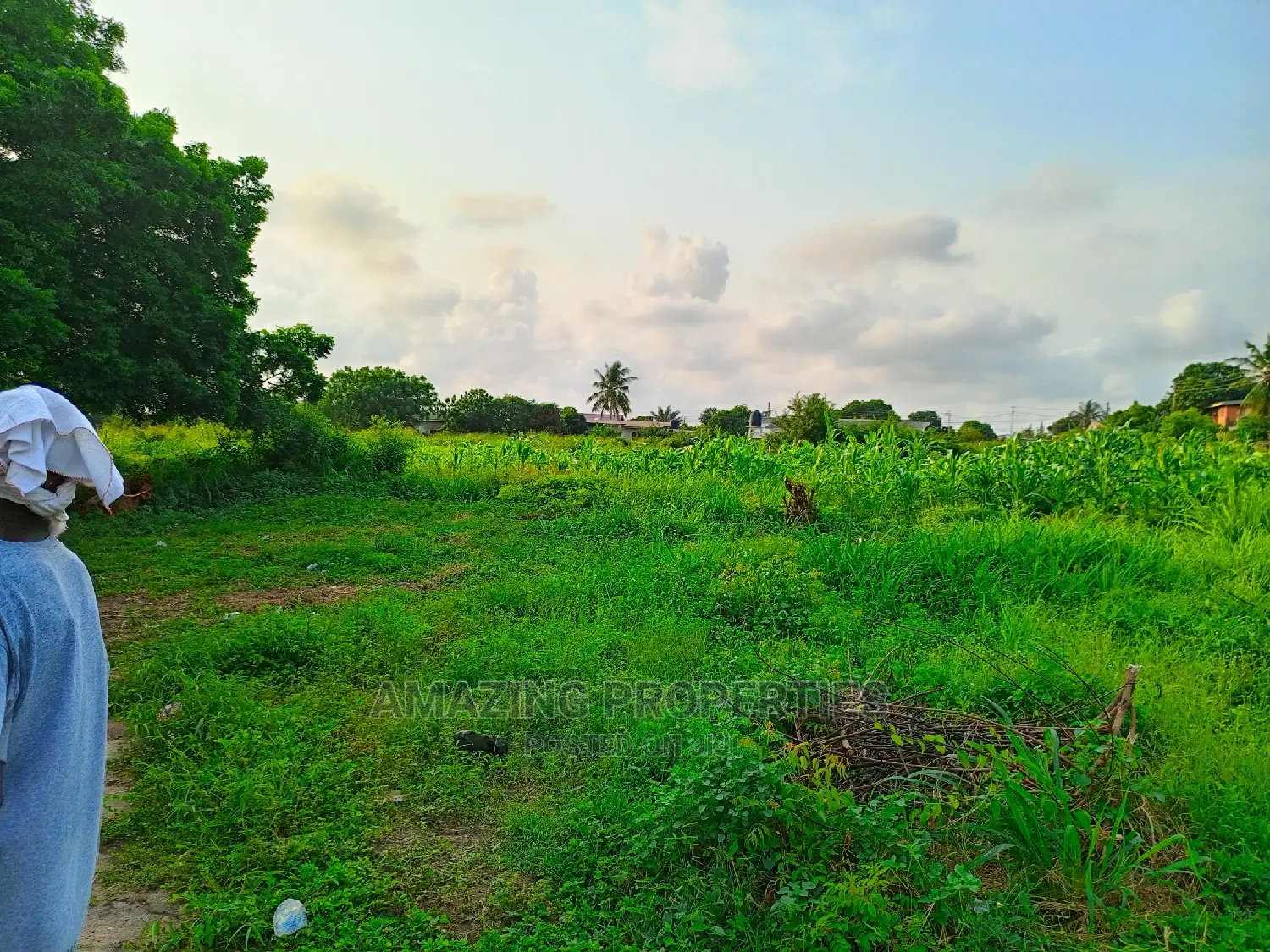 19acres of Land Buena Vista Homes Nungua> Tema Beach Road