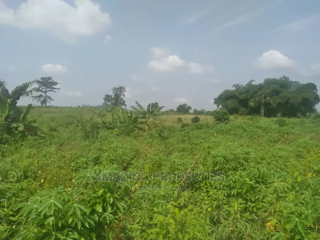 40 Acres Farm Land at Nsawam
