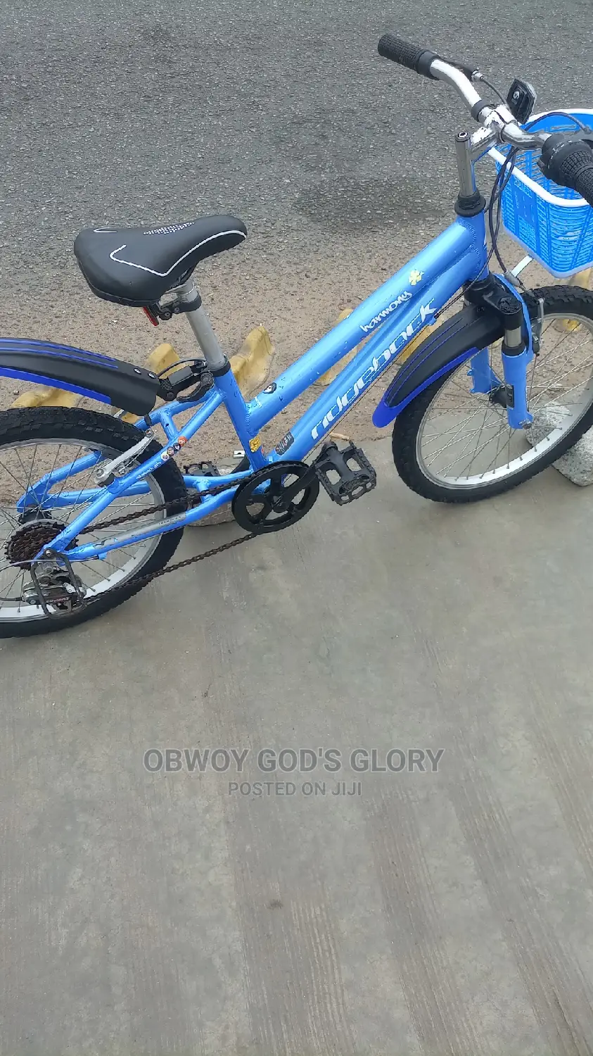 Kids Mountain Biking