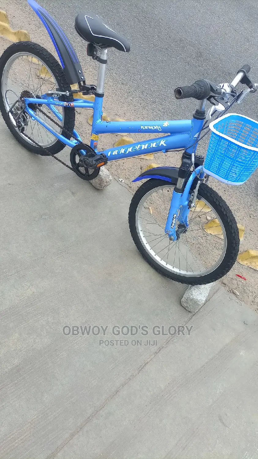 Kids Mountain Biking