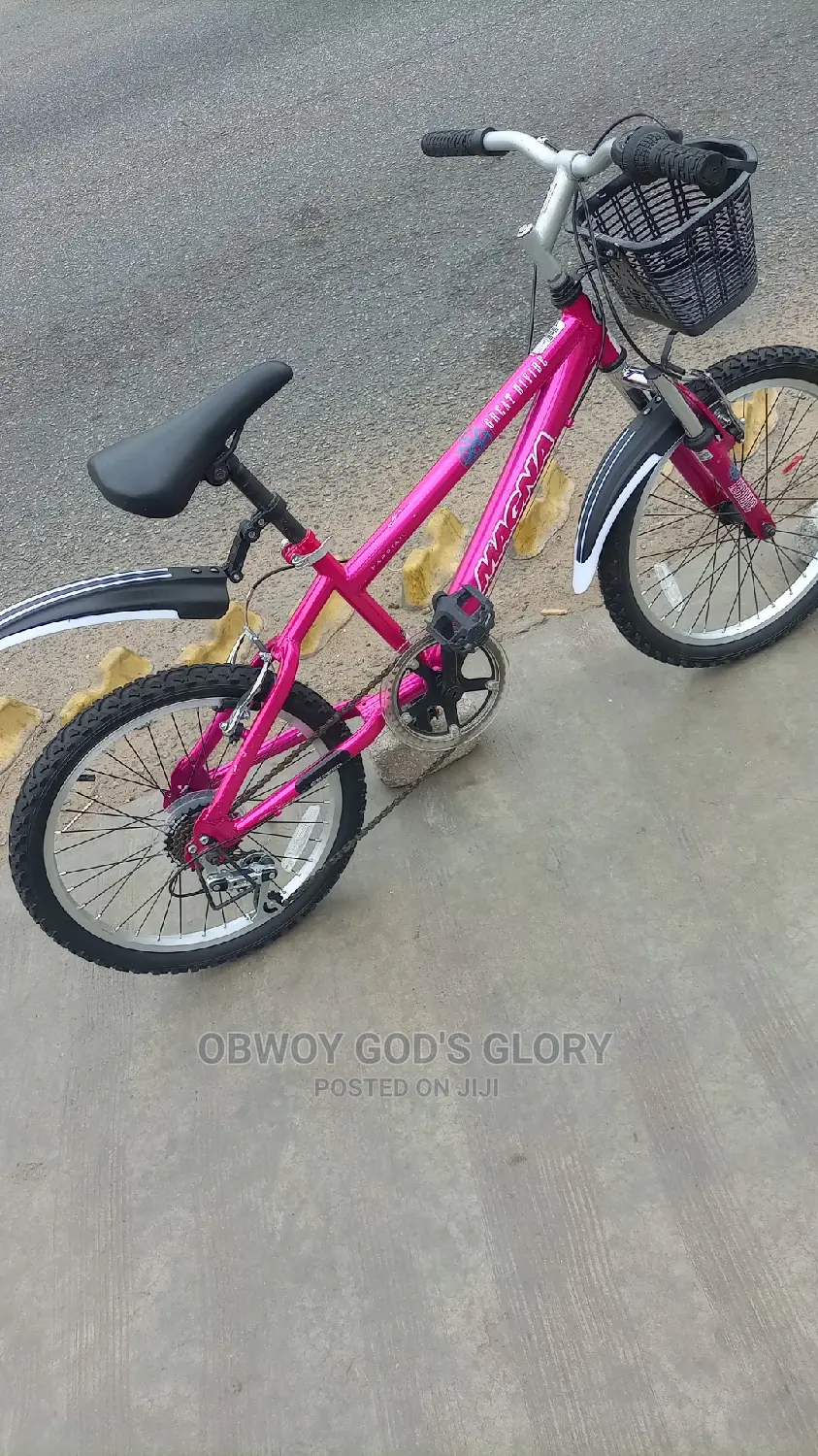 Mountain Bike 4 Kids