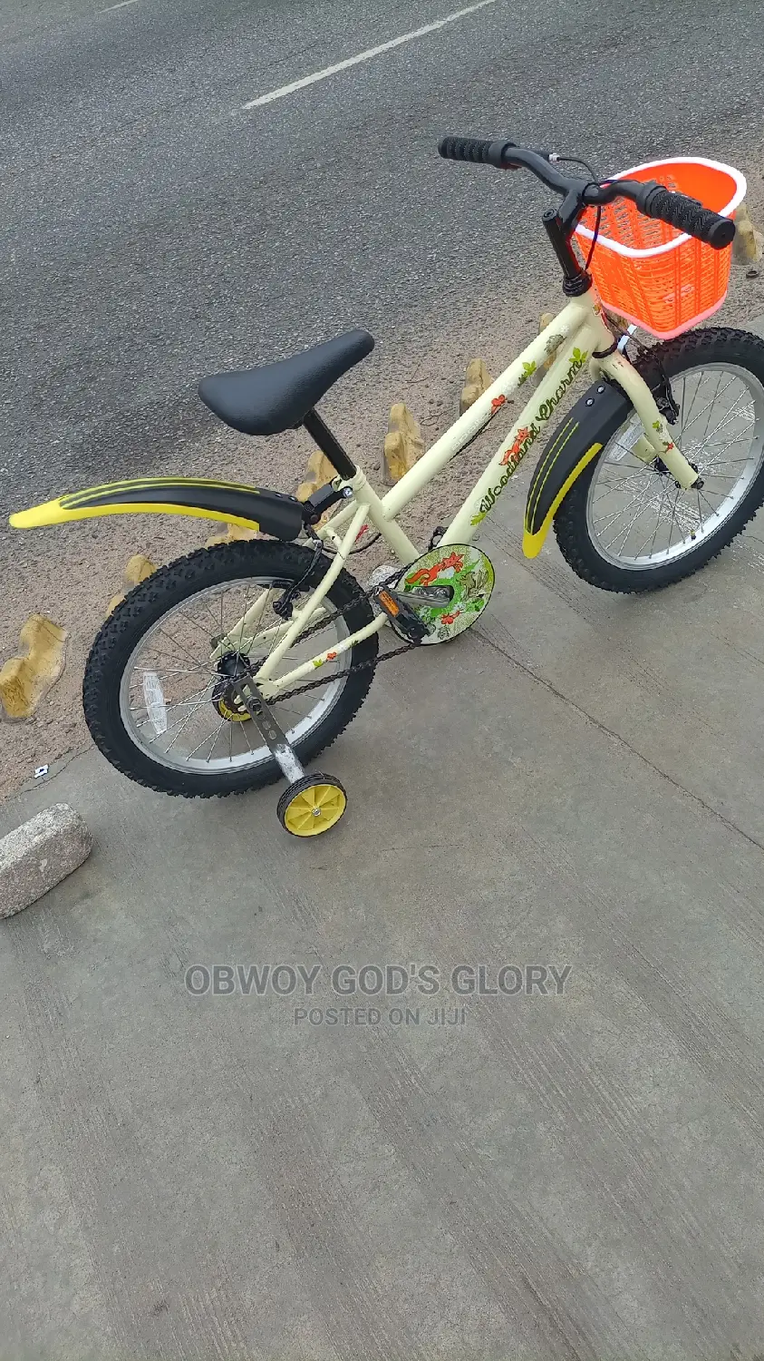 Lovely Mountain Kids Bike