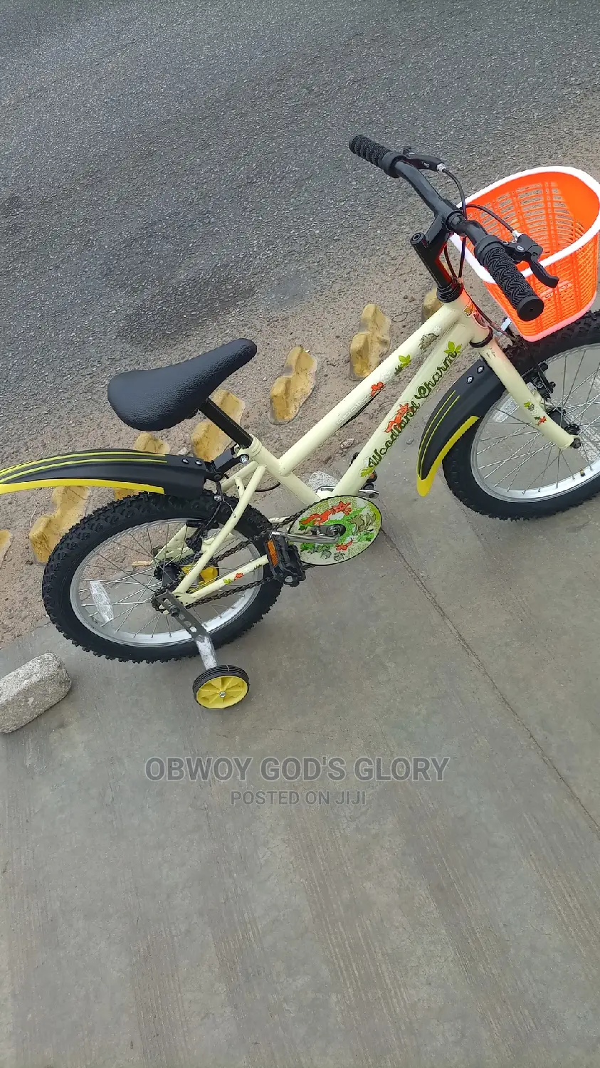 Lovely Mountain Kids Bike