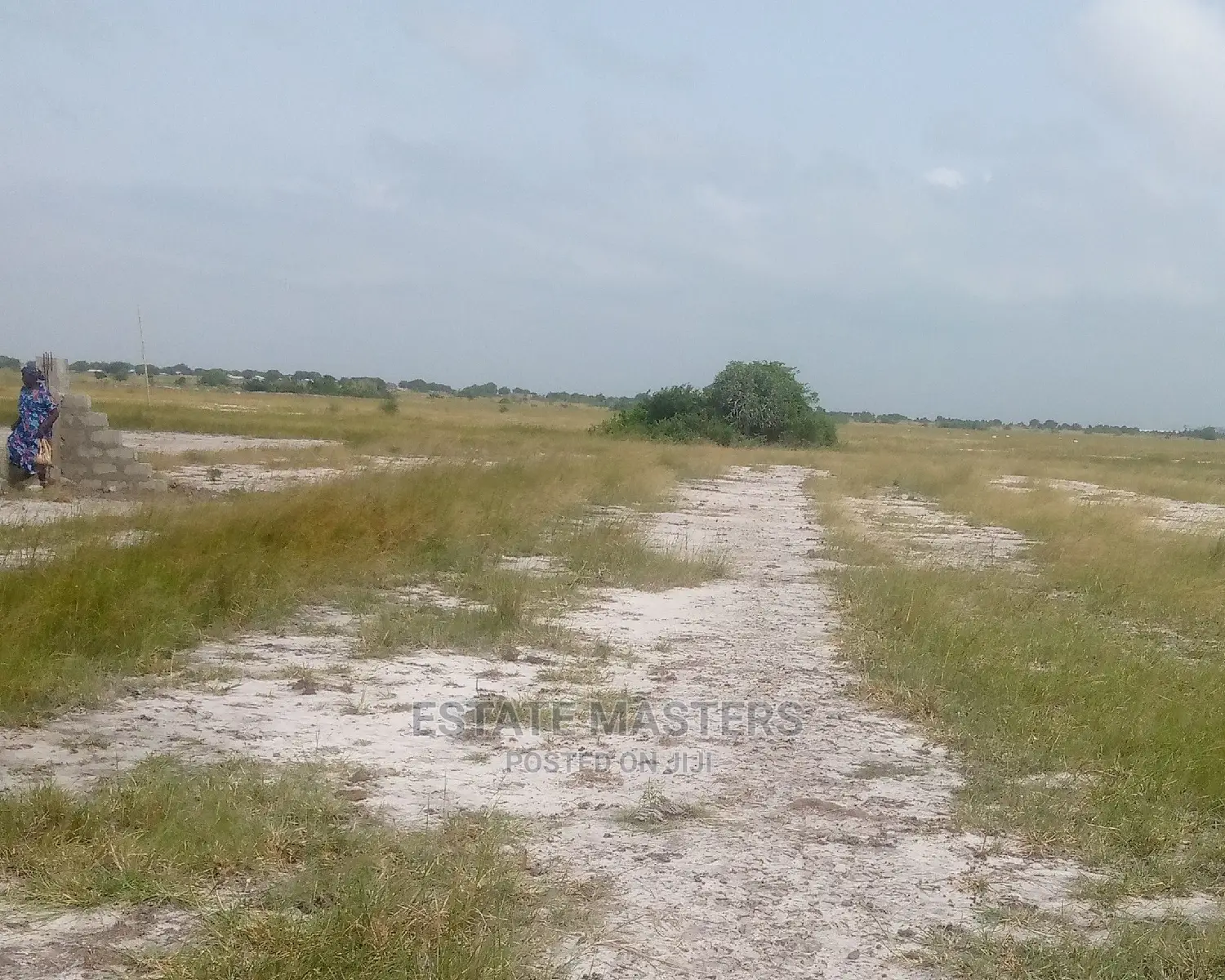 Valuable Registered Lands for Sale: Tsopoli