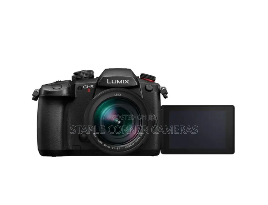 Panasonic Lumix GH5 II Mirrorless Camera With 12-60mm Lens