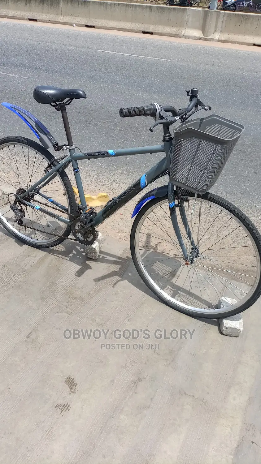 Gaint Basket Bike