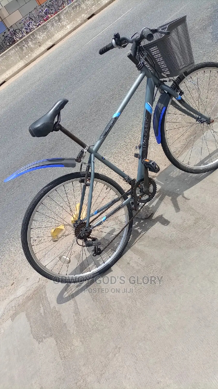 Gaint Basket Bike