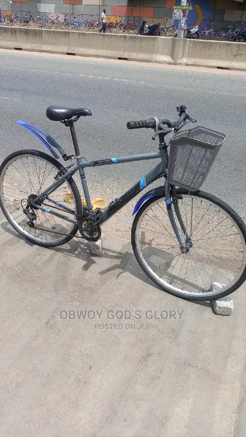 Gaint Basket Bike