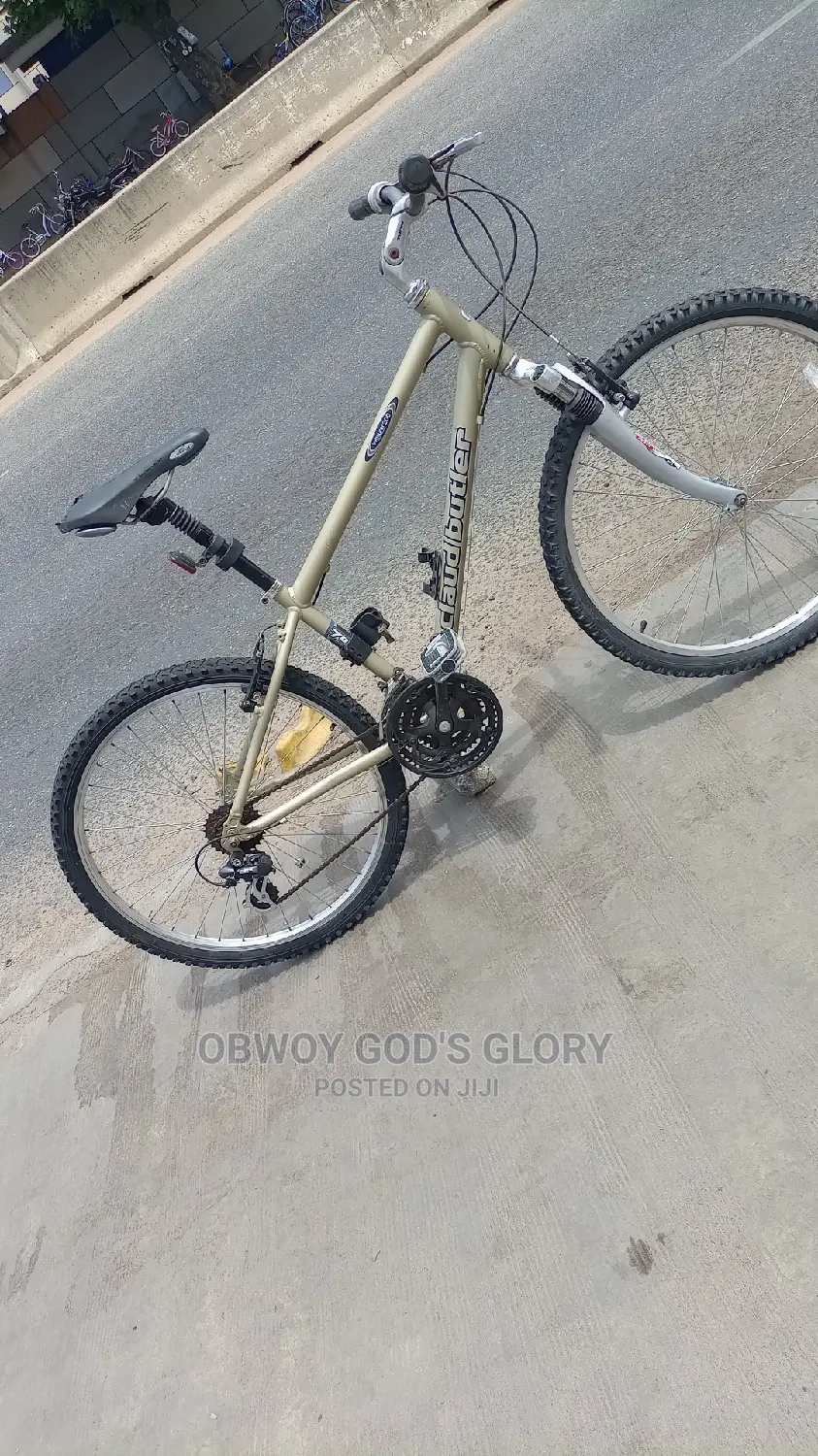 Lovely Sports Work Bike