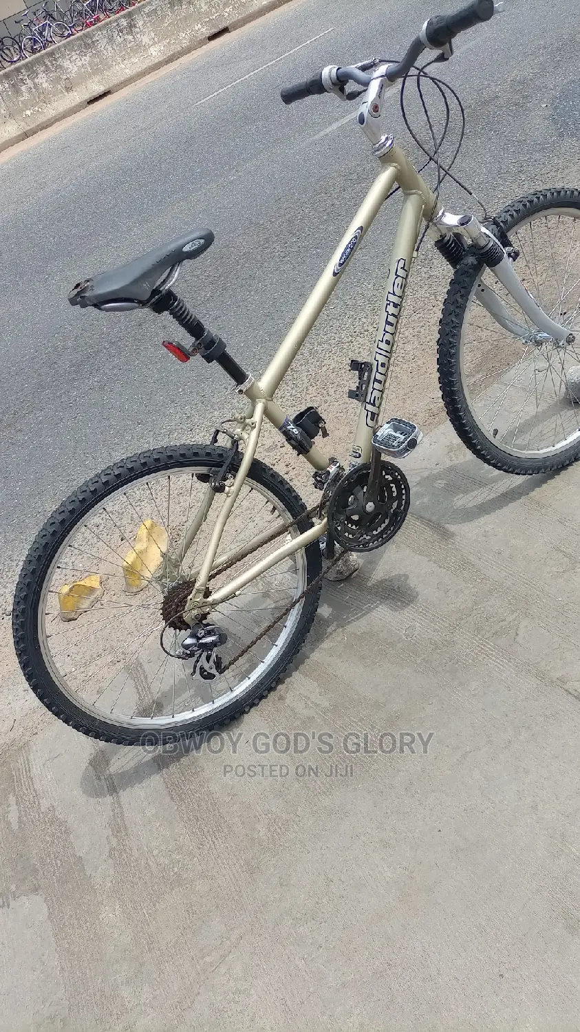 Lovely Sports Work Bike